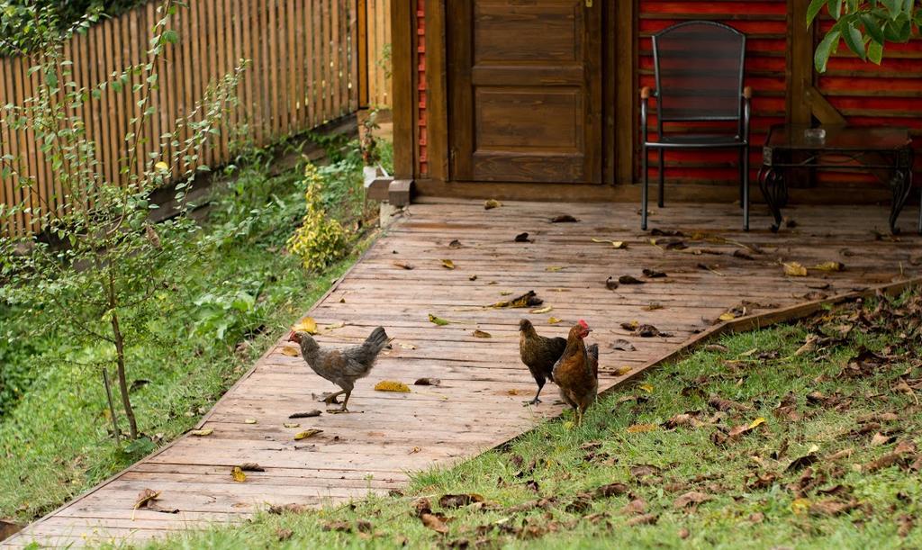 Hotel Fruktarium Vendeghaz Trizs Zewnętrze zdjęcie